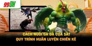 Cách Nuôi Gà Đá Cựa Sắt - Quy Trình Huấn Luyện Chiến Kê