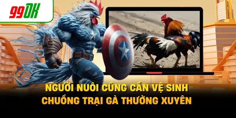 Người nuôi cũng cần vệ sinh chuồng trại gà thường xuyên