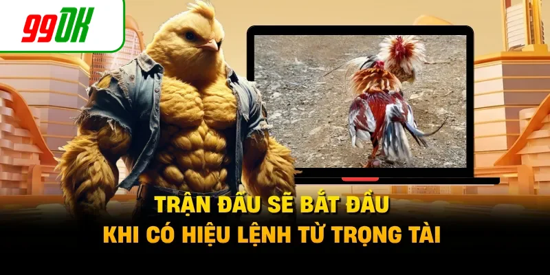 Trận đấu sẽ bắt đầu khi có hiệu lệnh từ trọng tài